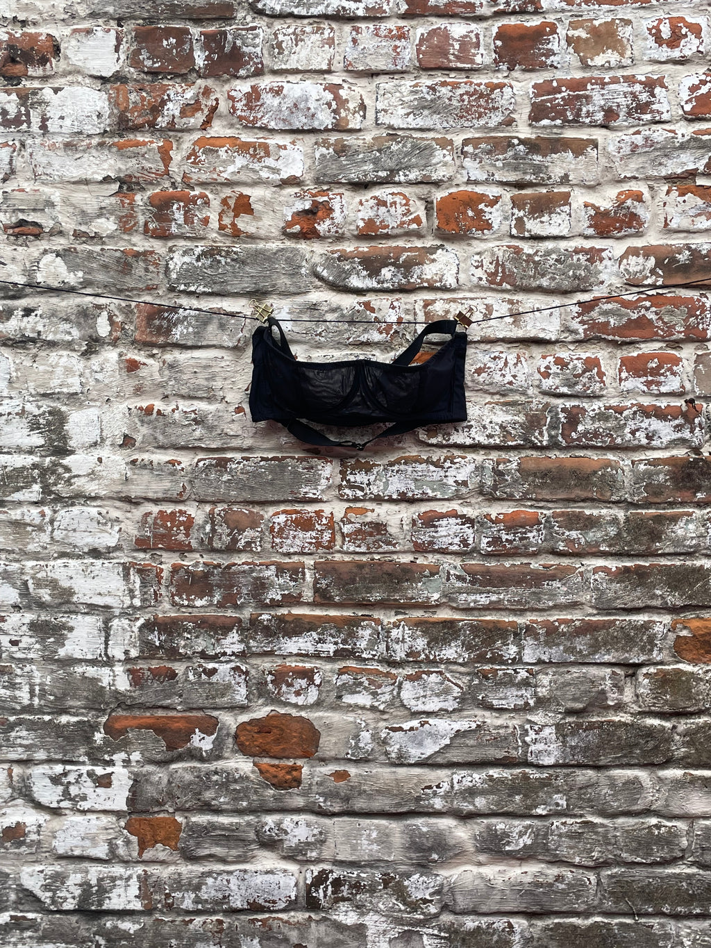 Netting Quarter Cup Bra