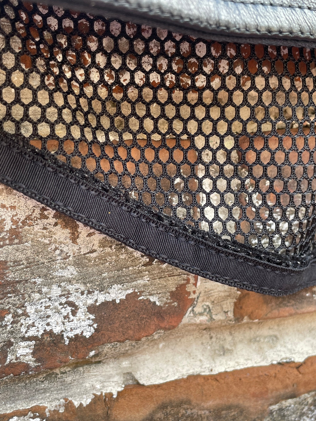 Leather + Mesh Crop Top